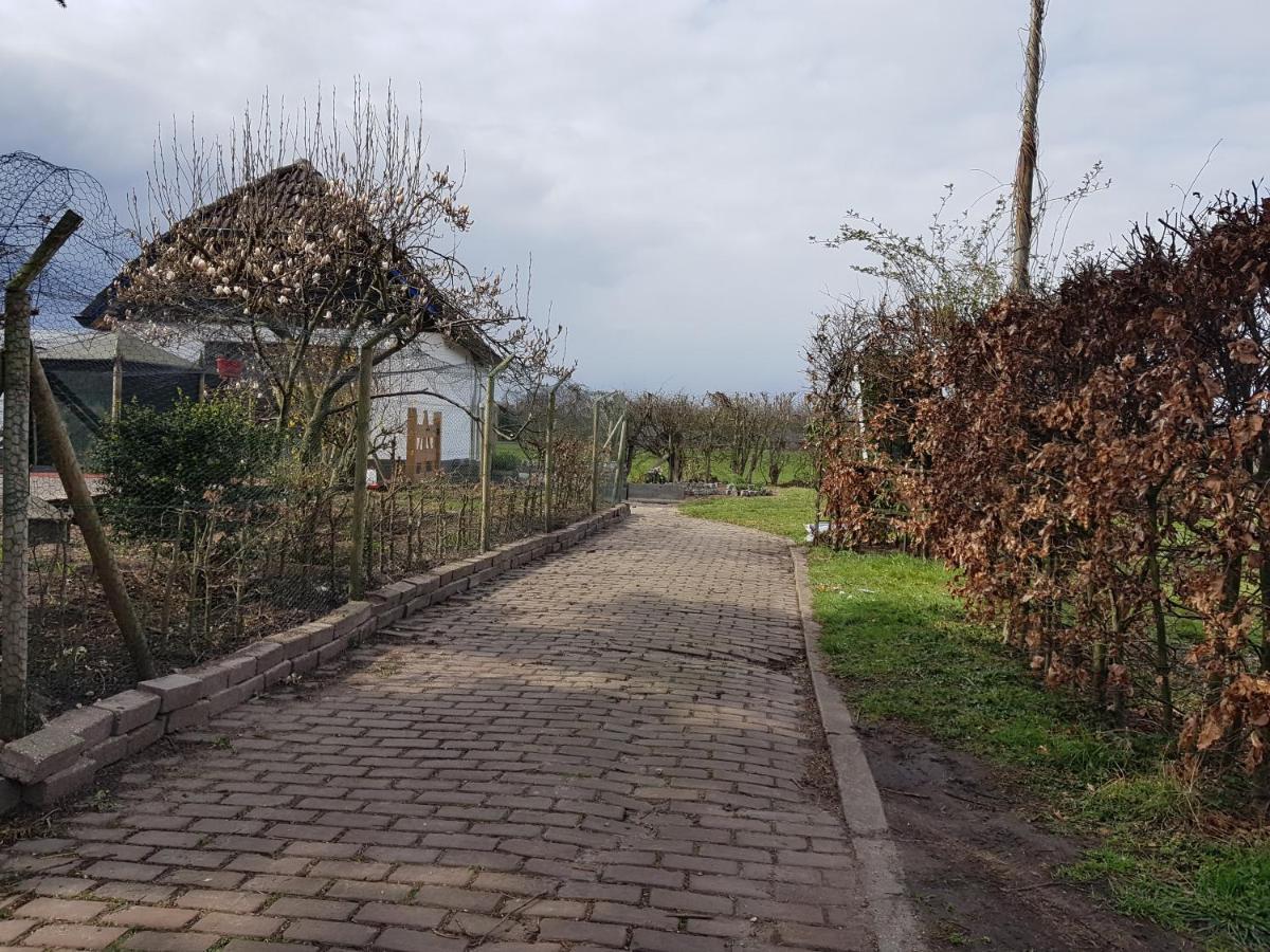 B&B Bos En Wei Xl Hall Екстериор снимка